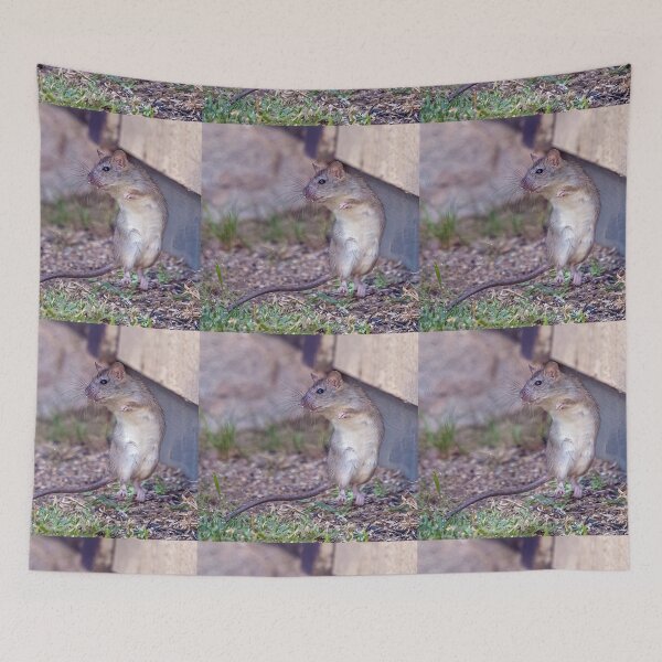 Item preview, Rat Snack designed and sold by CarolM.