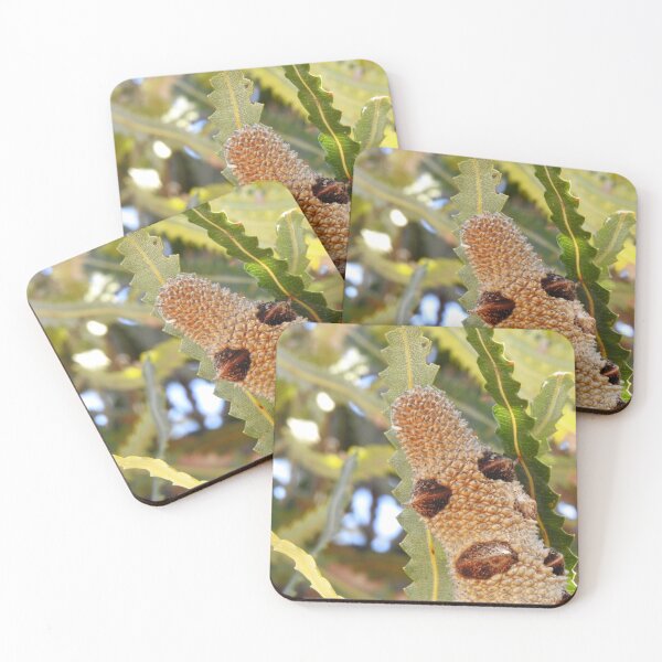 Item preview, BANKSIA MAN designed and sold by AussieAl.