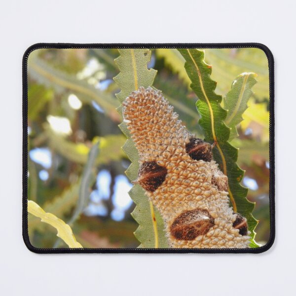 Item preview, BANKSIA MAN designed and sold by AussieAl.
