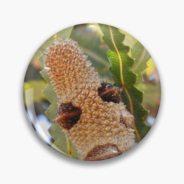 Item preview, BANKSIA MAN designed and sold by AussieAl.