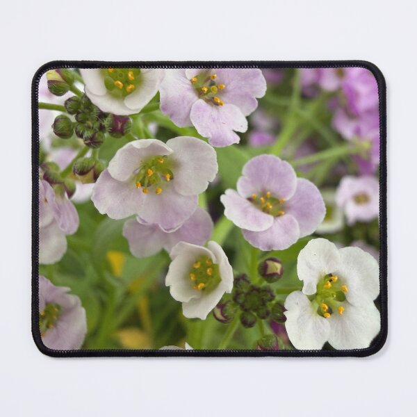 Item preview, Pastel Nature designed and sold by Betsy Phillips.