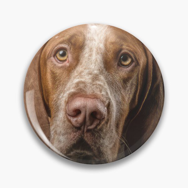 Item preview, Italian Pointer designed and sold by Elisabeth Lucas.