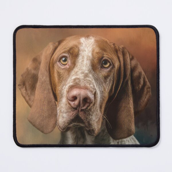 Item preview, Italian Pointer designed and sold by Elisabeth Lucas.