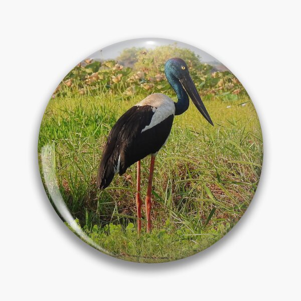 Item preview, JABIRU designed and sold by AussieAl.