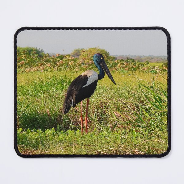 Item preview, JABIRU designed and sold by AussieAl.