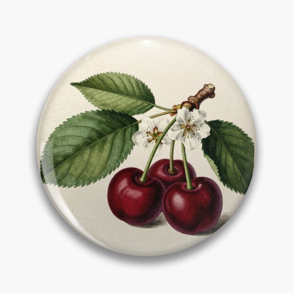 Item preview, Cherry Season — Vintage Botanical Cherry T-Shirt designed and sold by Panom Suavichien.