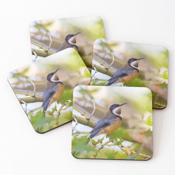 Item preview, Eastern Spinebill Love designed and sold by bella photoaus.