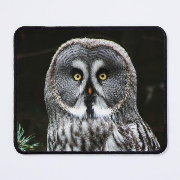 Item preview, The Great Grey Owl designed and sold by Alan Harman.