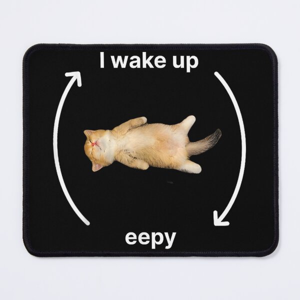 Item preview, Funny Eepy Cat Silly Sleepy Cat Meme  designed and sold by PmindHalow.