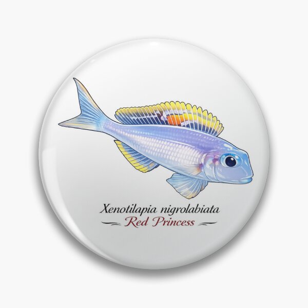 Item preview, Xenotilapia nigrolabiata "Red Princess" designed and sold by My-Thing.