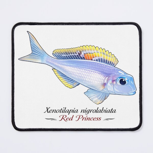 Item preview, Xenotilapia nigrolabiata "Red Princess" designed and sold by My-Thing.