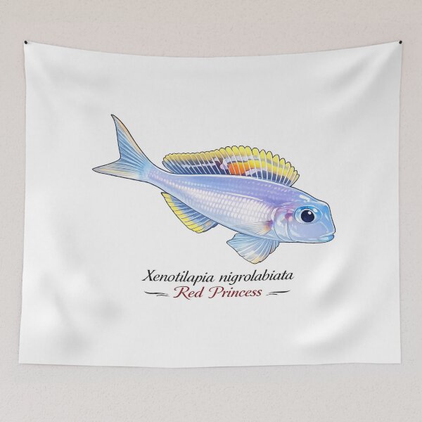 Item preview, Xenotilapia nigrolabiata "Red Princess" designed and sold by My-Thing.