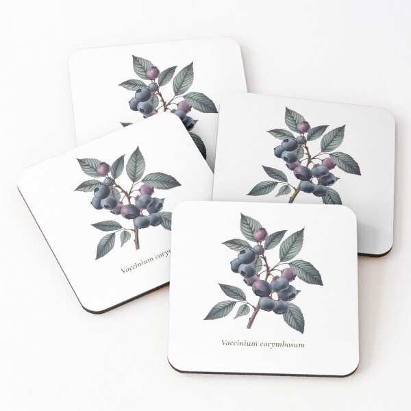 Item preview, Blueberry Botanical T-Shirt | Vaccinium corymbosum Vintage Illustration | Berry Lover Gift designed and sold by Panom Suavichien.