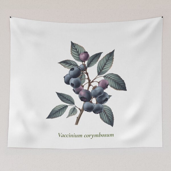 Artikelvorschau, Botanisches Blaubeer-T-Shirt | Vintage-Illustration der Heidelbeere (Vaccinium corymbosum) | Geschenk für Beerenliebhaber entworfen und verkauft von Panom Suavichien.