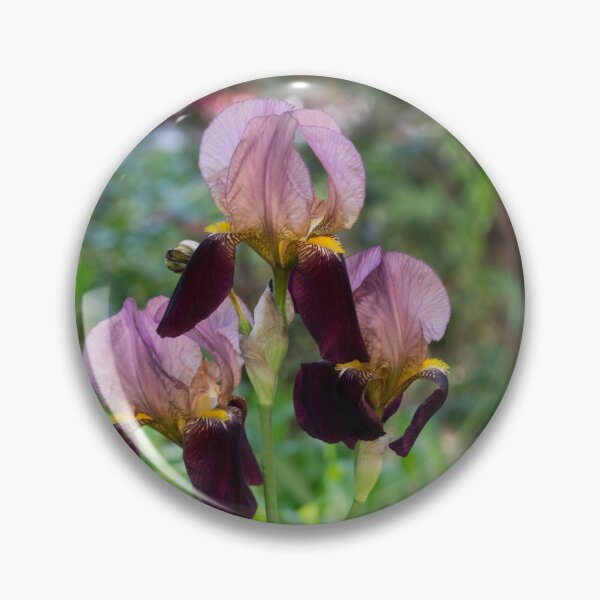 Item preview, Purple and Violet Bi-color Iris Trio in Bloom designed and sold by Georgia Mizuleva.