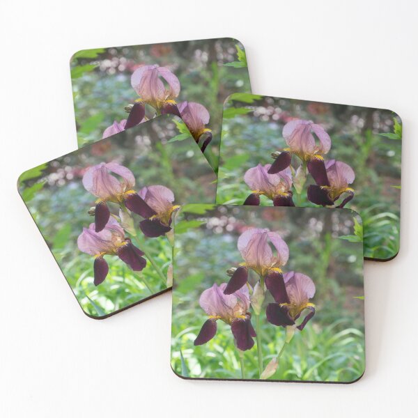 Item preview, Purple and Violet Bi-color Iris Trio in Bloom designed and sold by Georgia Mizuleva.