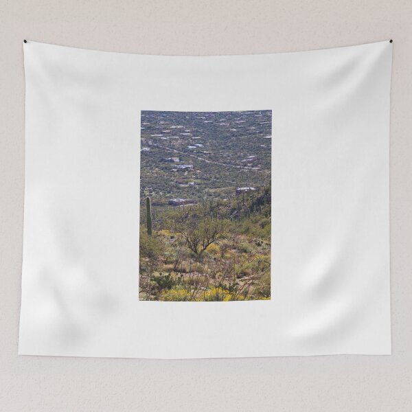 Item preview, Desert Landscape and Scenic Tucson Overlook 2	 designed and sold by Phakade's Photos.