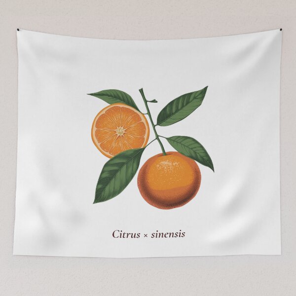 Item preview, Orange Botanical T-Shirt | Citrus sinensis Vintage Illustration | Fruit Lover Gift designed and sold by Panom Suavichien.