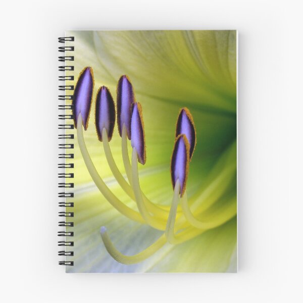 Item preview, Yellow Lily - 8 x 10 Format designed and sold by acellis13.