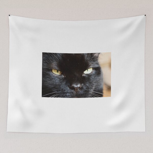 Item preview, black cat with yellow eyes designed and sold by heisennerd.