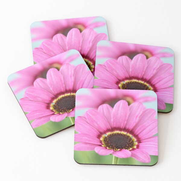 Item preview, Argyranthemum Grandaisy Pink Marguerite Grandaisy Series designed and sold by Chris Burrows.