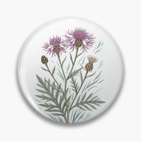 Item preview, Scabious Knapweed (Centaurea scabiosa) designed and sold by child-of-nature.