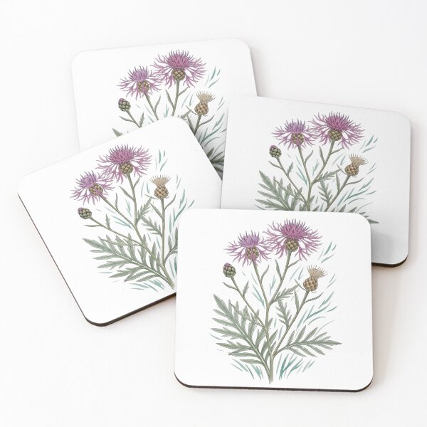 Item preview, Scabious Knapweed (Centaurea scabiosa) designed and sold by child-of-nature.