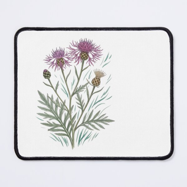Item preview, Scabious Knapweed (Centaurea scabiosa) designed and sold by child-of-nature.