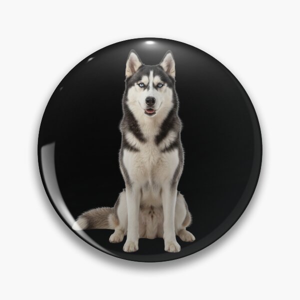 Item preview, Siberian Husky Portrait (Sitting) – Clean Design designed and sold by Markusa84.