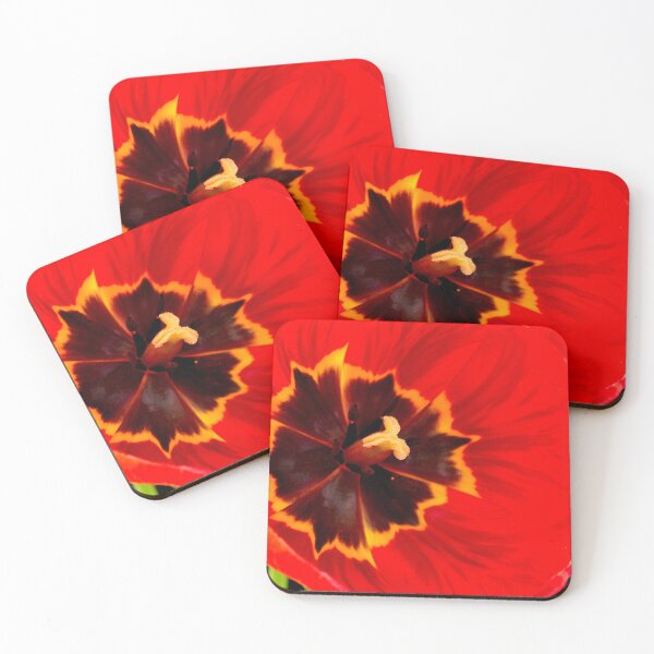 Item preview, Red tulips isolated on white background. Close-up shot. designed and sold by IgorKovalenko.