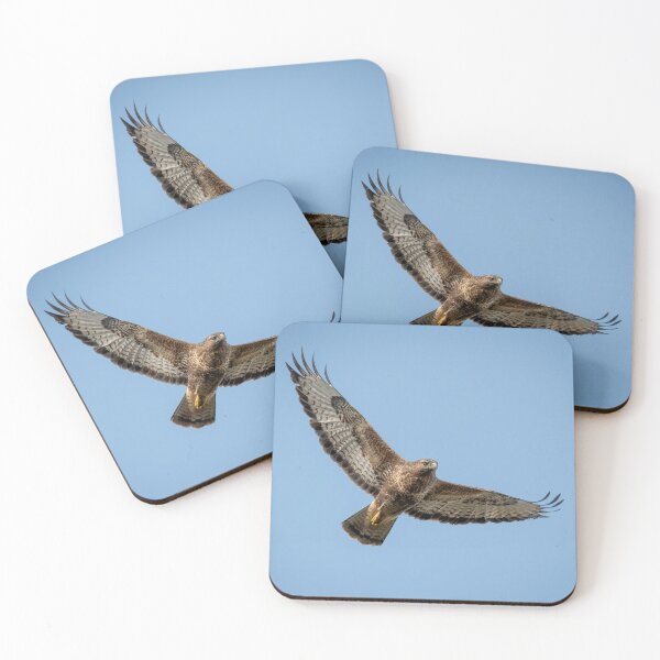 Item preview, Common Buzzard Buteo Buteo in flight designed and sold by CEastwoodPhotos.