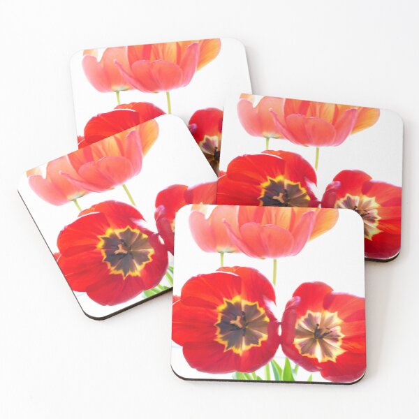 Item preview, Red tulips isolated on white background. Close-up shot. designed and sold by IgorKovalenko.