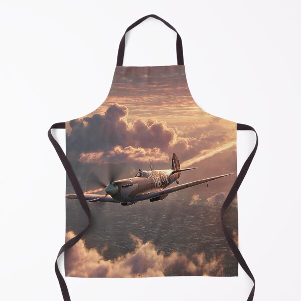 Item preview, The Evening Sortie designed and sold by Skyframe Aviation.