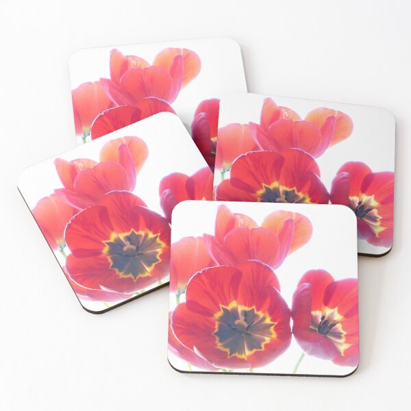 Item preview, Red tulips isolated on white background. Close-up shot. designed and sold by IgorKovalenko.