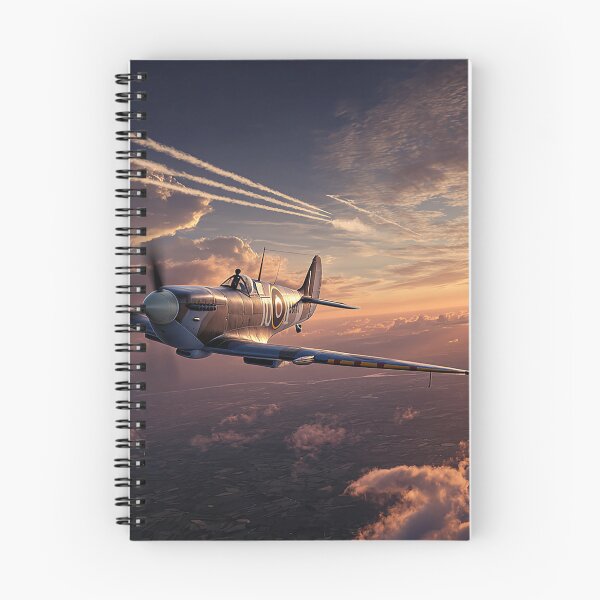 Item preview, The Lone Evening Ace designed and sold by Skyframe Aviation.