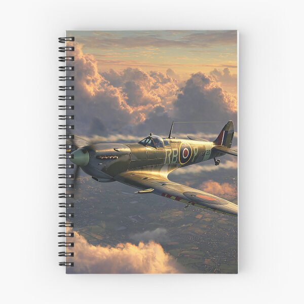 Aperçu de l'œuvre Ailes de la RAF dans Firelight créée et vendue par Skyframe Aviation.