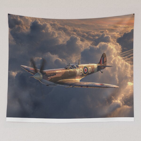 Item preview, The Skys Fading Echo designed and sold by Skyframe Aviation.