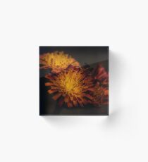 Flower - Fox & Cubs Acrylic Block