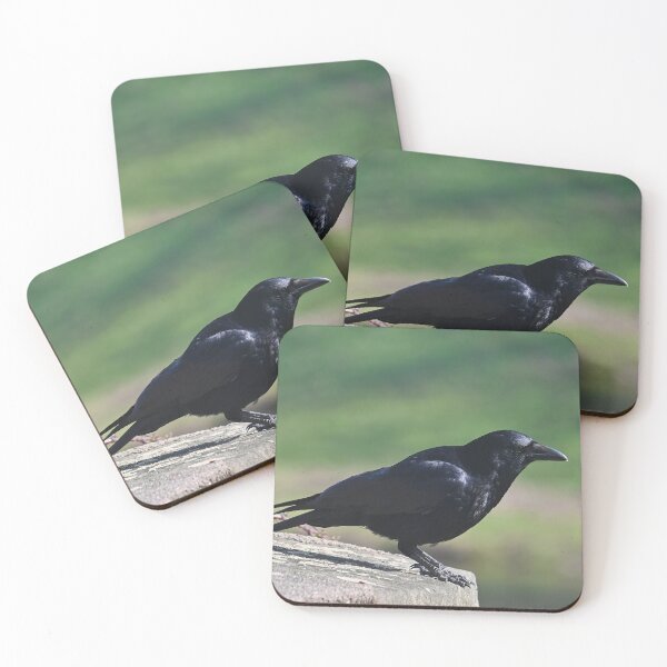 Item preview, Raven on a wall designed and sold by ShahrukMoments.