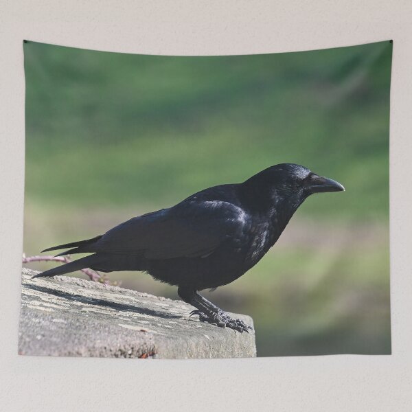 Item preview, Raven on a wall designed and sold by ShahrukMoments.