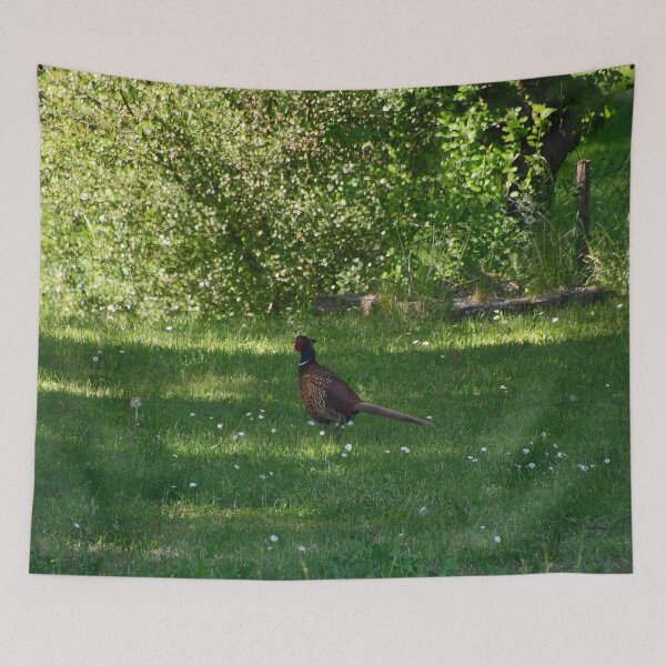 Item preview, Pheasant on a green meadow designed and sold by ShahrukMoments.
