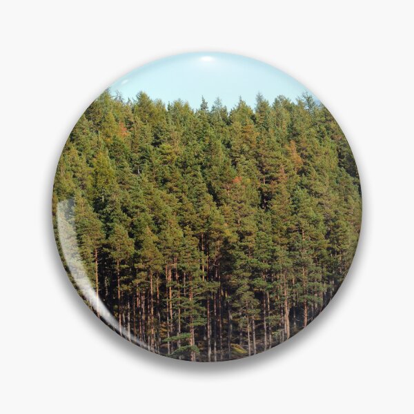 Item preview, Edge of the forest, Scotland designed and sold by Richard Flint.