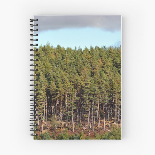Item preview, Edge of the forest, Scotland designed and sold by Richard Flint.