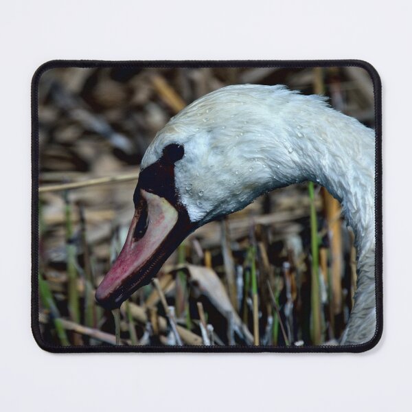 Item preview, Frozen reality - Beautiful nature 656 designed and sold by deep-sea-birds.