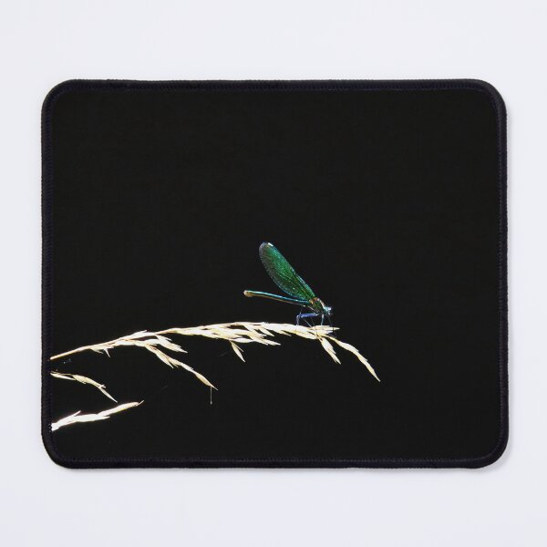 Item preview, Demoiselle dragonfly on a blade of grass designed and sold by ShahrukMoments.