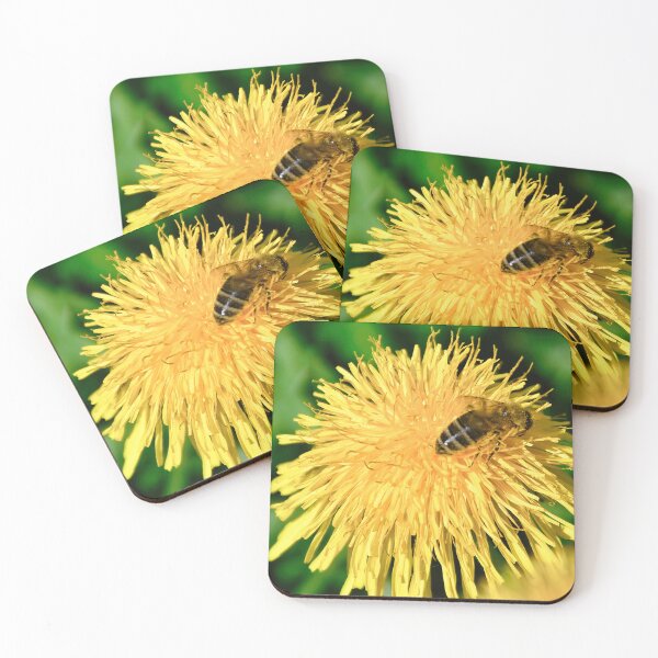 Item preview, Bee on dandelion designed and sold by ShahrukMoments.