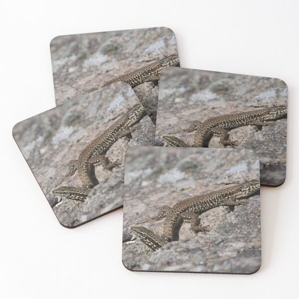 Item preview, Two lizards on a warm stone designed and sold by ShahrukMoments.