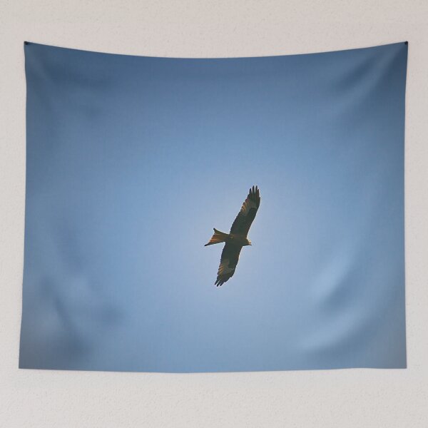 Item preview, Red kite in flight designed and sold by ShahrukMoments.