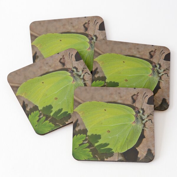 Item preview, Lemon butterfly on dry leaves designed and sold by ShahrukMoments.