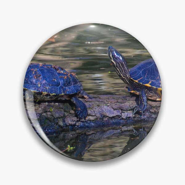 Item preview, Two turtles on a tree trunk designed and sold by ShahrukMoments.